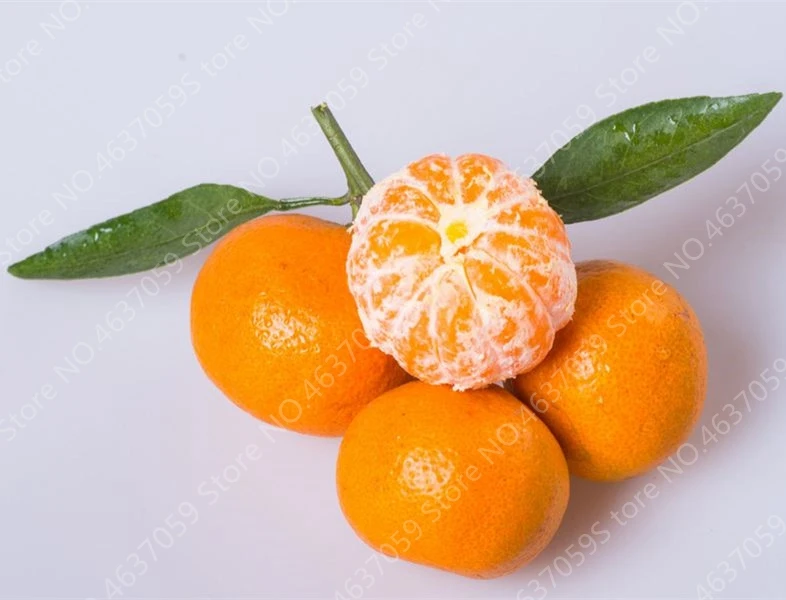 Cheap 100 pcs/ bag Edible Oranges Fruit Mandarin Bonsai Tree Citrus Pots Plants Mini Garden Juicy Sweet Garden Orange Sementes
