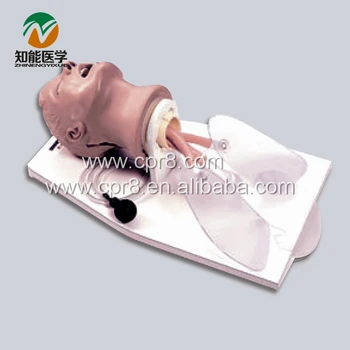 

BIX-J50 Airway Training Model,Trachea Intubation Training Model W058