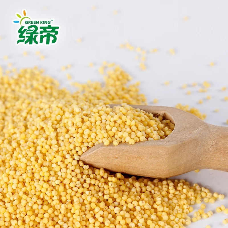 Online Buy Wholesale millet grain from China millet grain Wholesalers