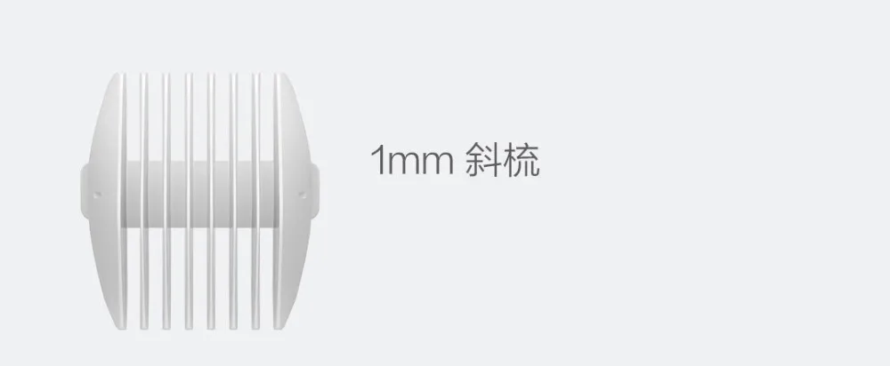 img (10)