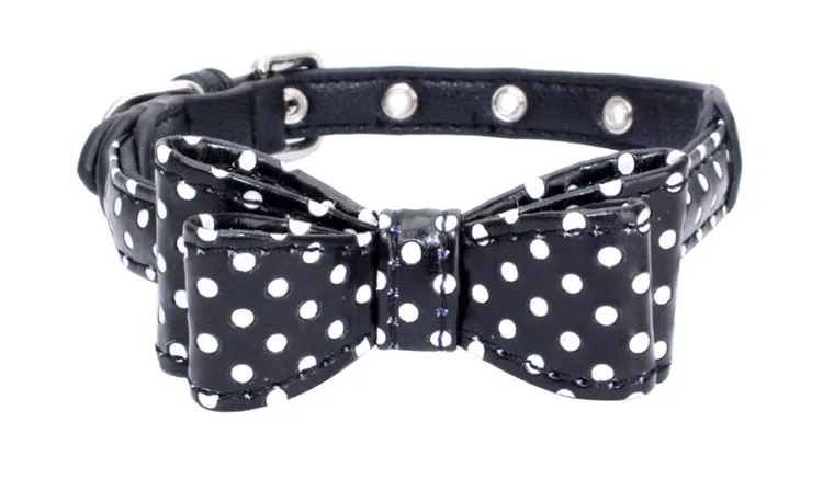 dog collar (3)