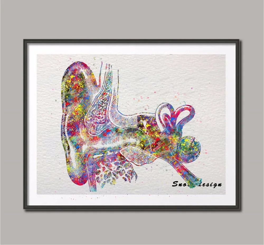 

Original watercolor Outer Ear Anatomy canvas NON diamond painting Medical Wall art poster print Pictures Home Clinic Decoration