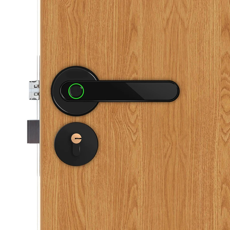 

Zinc alloy Bluetooth APP remote control Fingerprint Lock Electric Door Lock with emergency mechanical key