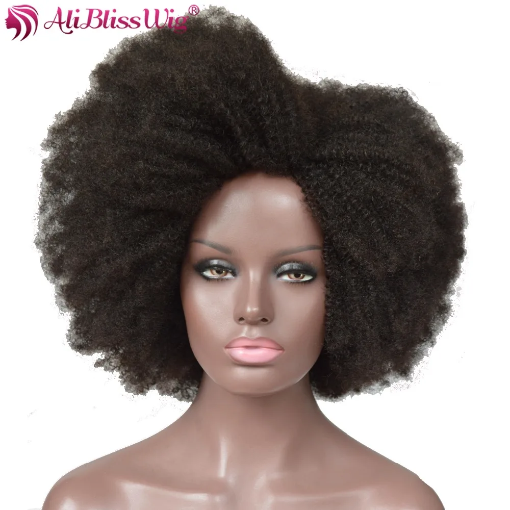 AliBlissWig Afro Kinky Curly None Lace Wigs For African Americans Natural Color 100% Human Hair Wigs Brazilian Remy Hair  (2)