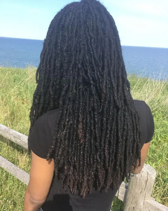 tranças 100% cabelo humano jumbo pavor penteado