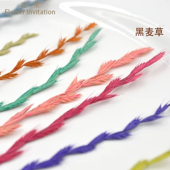 

Flower Invitation Ryegrass dried flowers plants specimens handmade leaves embossing nature