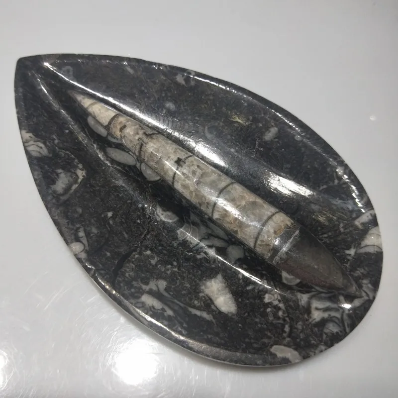 

DHXYZB 13-14cm Natural right Angle fossil Crystal Specimen Rare Polished Collectible natural stones and minerals free shipping