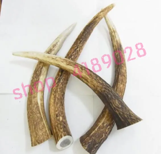 

Natural horse buckhorn, natural material decoration