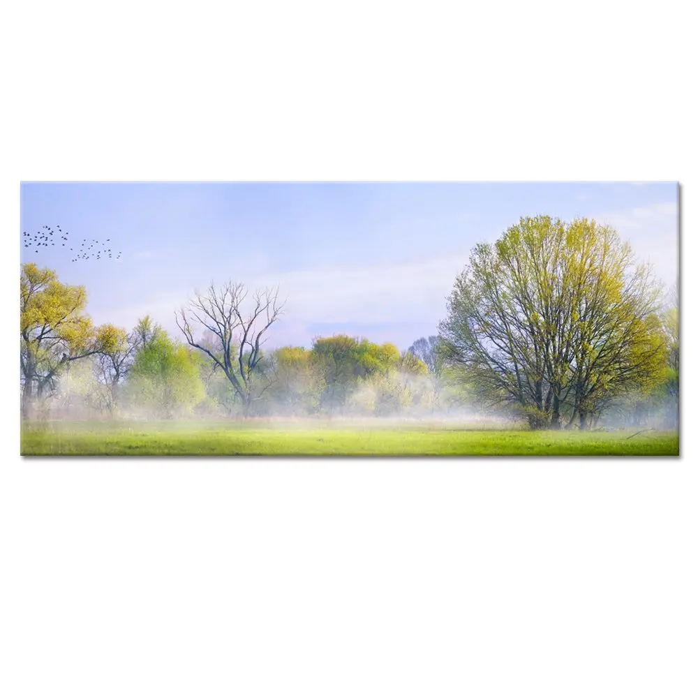 Large Modern Landscape Foggy Spring Forest Trees Photography Giclee Canvas Prints Home Decor Painting Wall Decoration Artwork | Дом и сад
