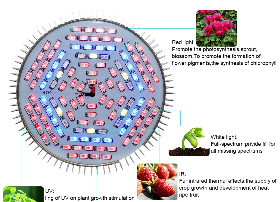 Лампа для выращивания 10 Вт 30 Вт 50 Вт 80 Вт фитолампа полный спектр светодиодный светильник для выращивания Красный Синий УФ ИК светодиодный светильник для растений гидропоника цветы овощи