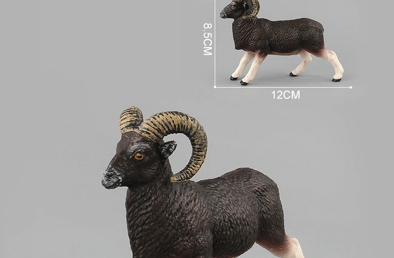 African Wild Animals Toys Antelope Zebra  Cattle Bull Argali Model Action Figures Lifelike Collectible Dolls Figurine Decor Gifts_18