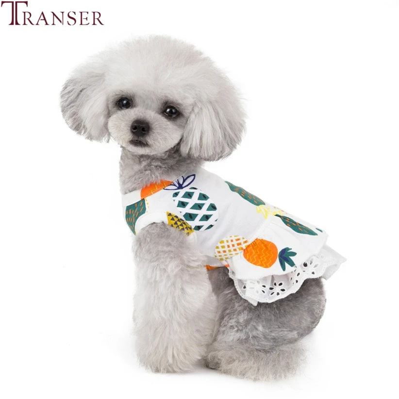 

Transer Small Dog Dress Cute Sweet Fruit Printing Lace Double Layer Pet Dresses Puppy Clothing Small Dog Supply 90610