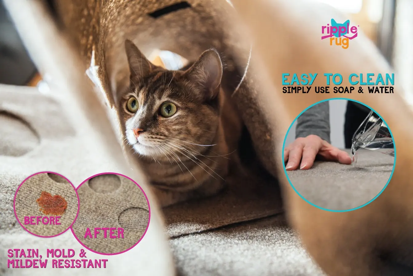 DannyKarl Play игрушки маленькие домашние животные скрытое отверстие 2019 горячие новые многофункциональные игрушки для кошек Развивающие