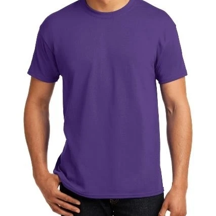 Hanes 5170 Mens EcoSmart 50 Percent Cotton & 50 Percent Poly T-Shirt Purple - 3XL (1)