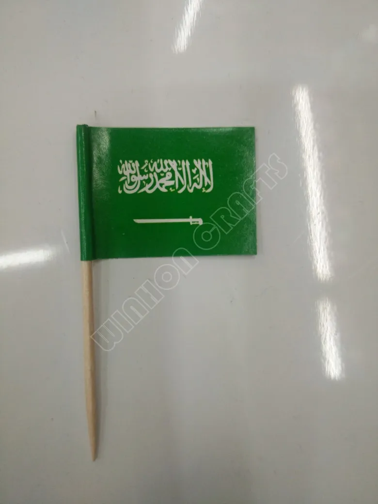 conew_saudi arabia