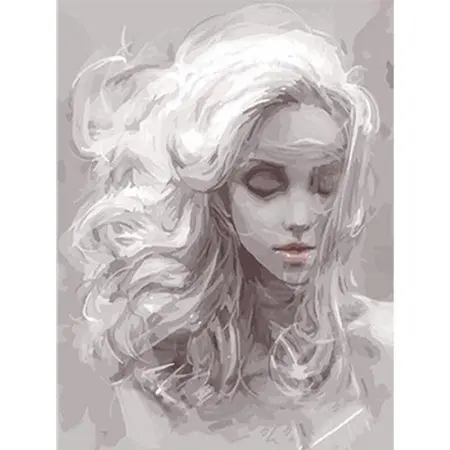 cioioil-W721 Grey female avatar DIY Painting By Numbers Modern Wall Art Picture Acrylic Paint Unique Gift For Home Decor