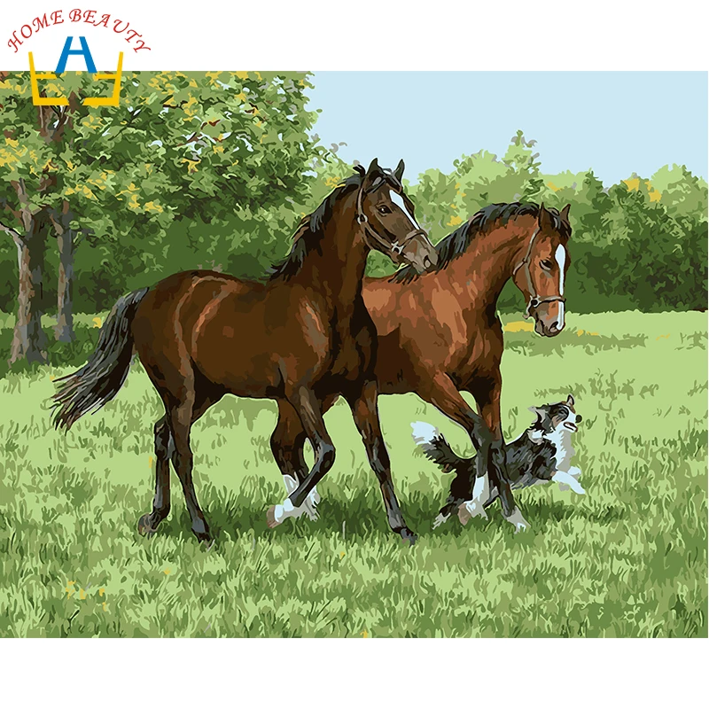 

HOME BEAUTY diy oil painting by numbers wall decor picture on canvas drawing coloring by number animals oil paint craft E840