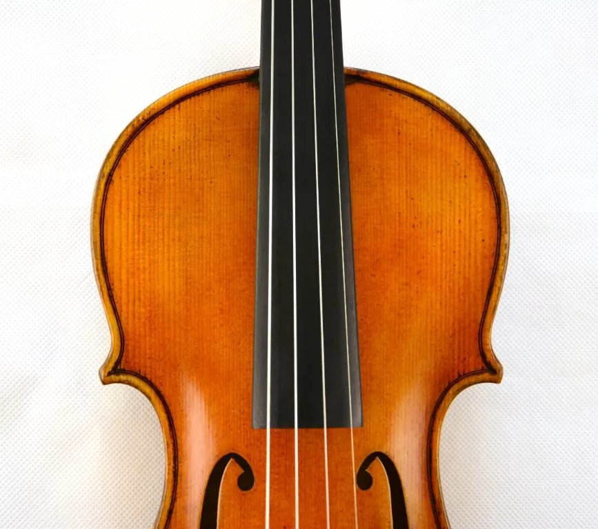 Горд скрипка Guarneri 1743 Cannone скрипка удивительный звуконечный инструмент