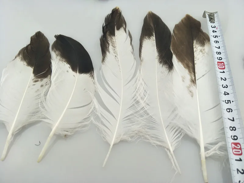 18cm-22cm_