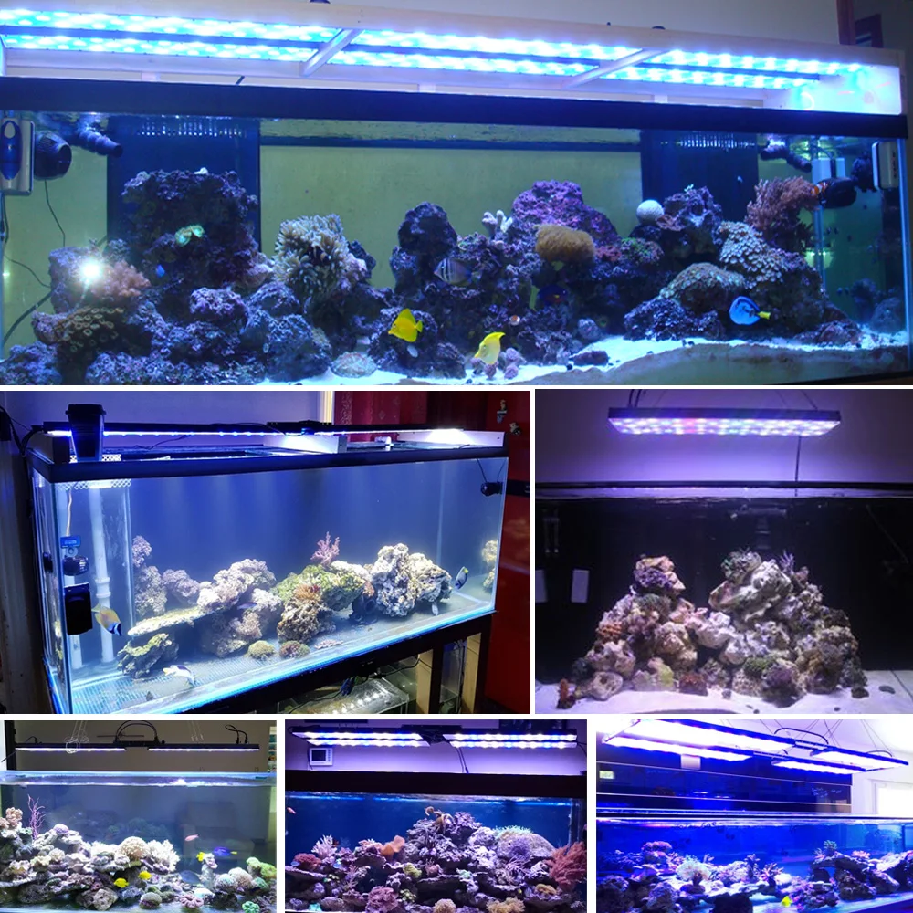 DSunY 3 шт. Аква Dimmable светодио дный спектр расти Fish Tank рифовый свет аквариум