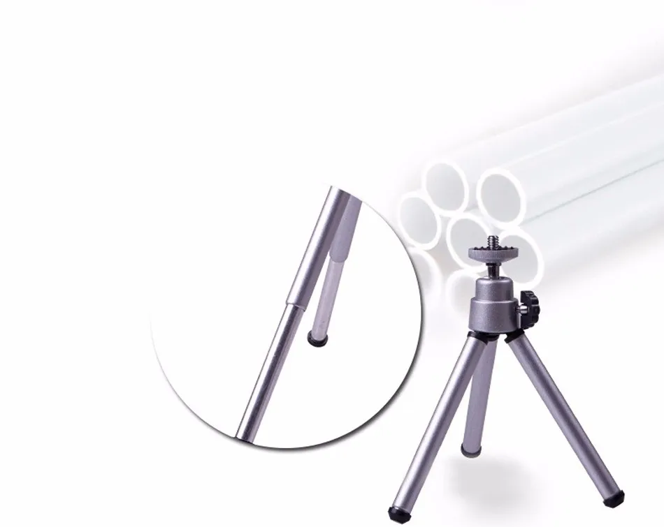 2163005667_1047000927