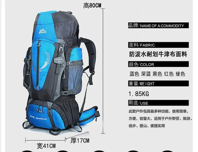 Профессиональная Водонепроницаемая уличная сумка для альпинизма 80 л|hiking bag|bag