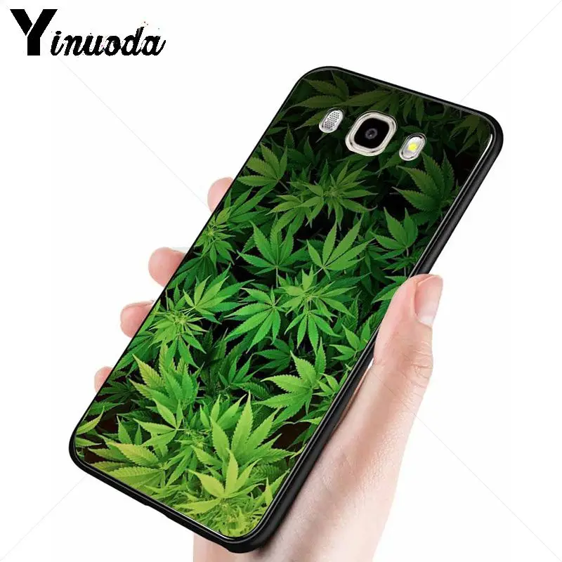 weed plant leaves Cannabis leaf