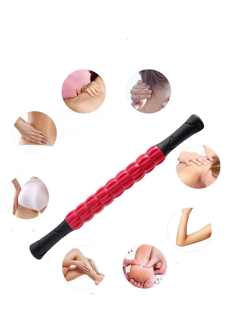 9006488169_1724463715