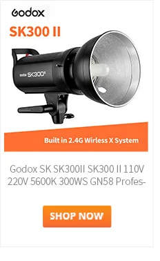 Godox-SK300II