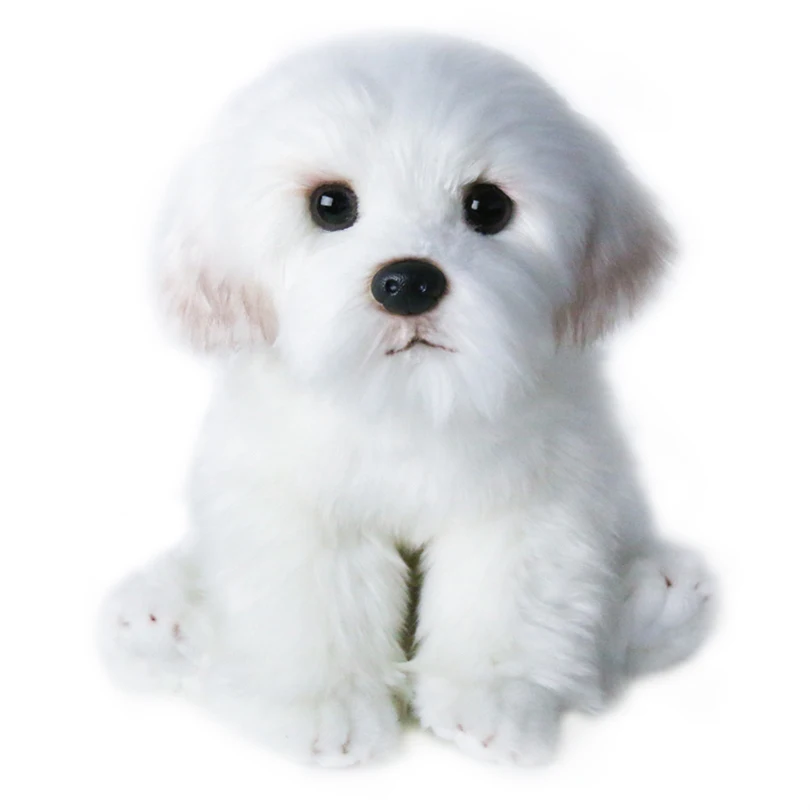 Bichon Frise Puppy чучело животное собака плюшевая игрушка милый моделирование Домашние животные пушистые детские куклы подарки на день рождения для детей дропшиппинг