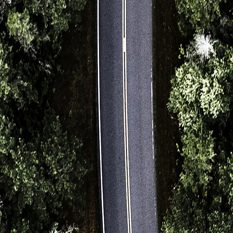 There Are A Lot Of Endless Lush Wood Trees Plants Surrounded By The White Fog Nordic Simple Paintings On Canvas For Home Decor