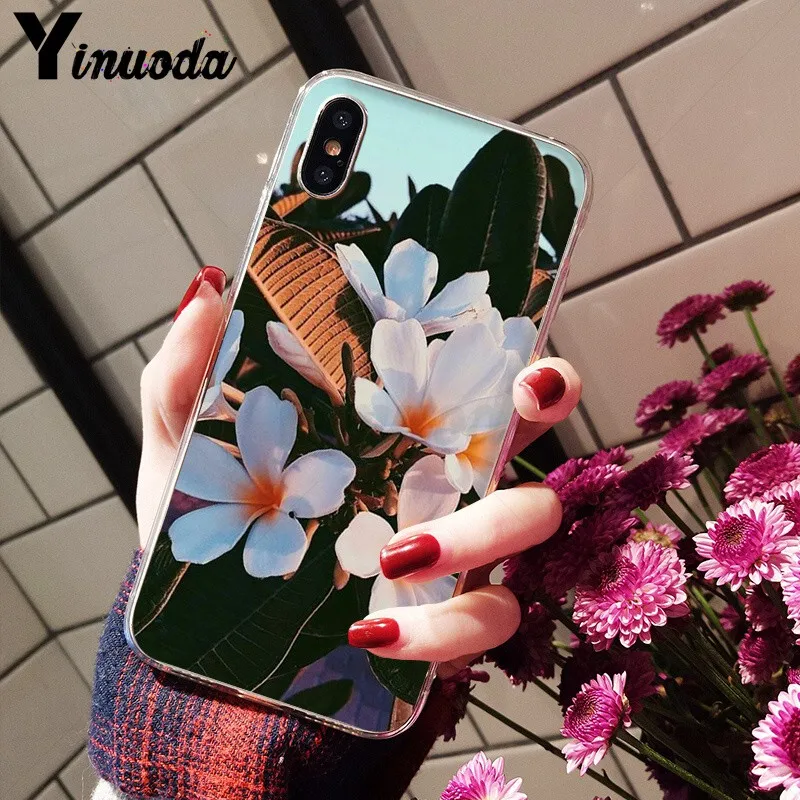 Candy Color Leaf Print Fashion