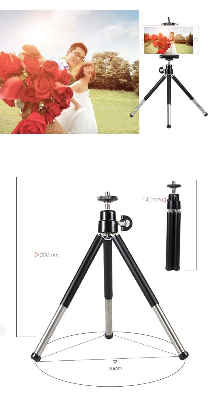 HTB1P7zyNXXXXXcLXXXXq6xXFXXXr