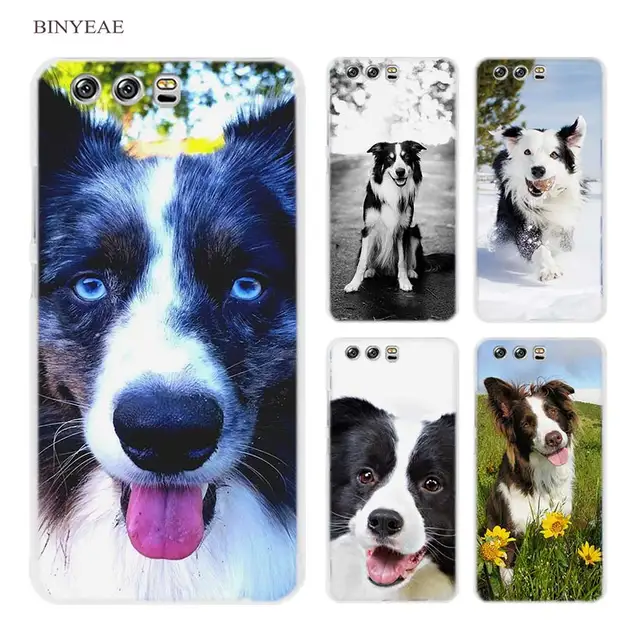 coque iphone 7 border collie coque iphone 7 border collie