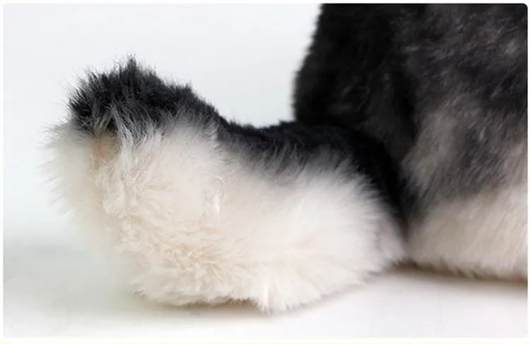 wolf fluffy tail