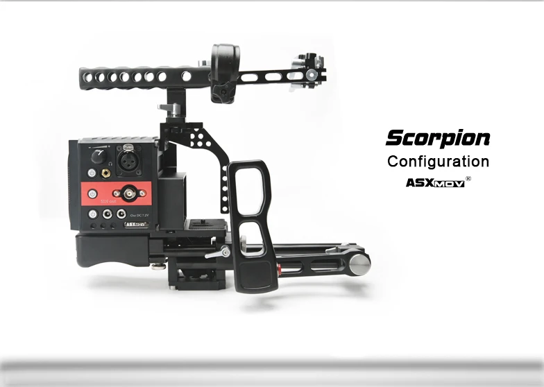 scorpion-_11