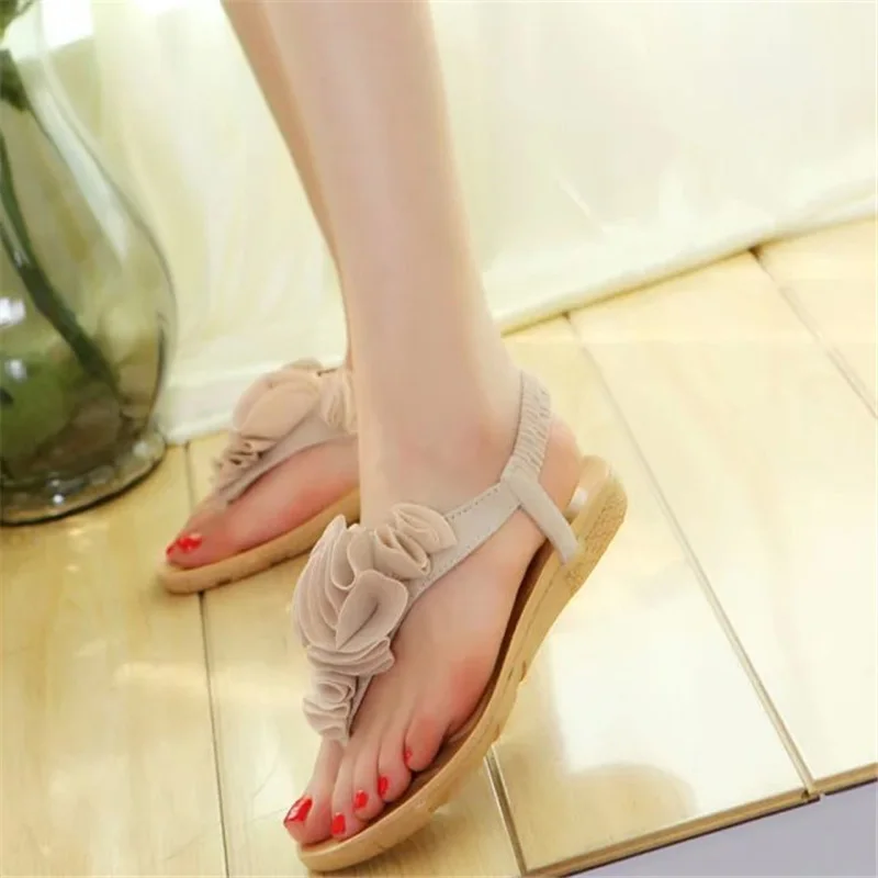 2926555052_893416378