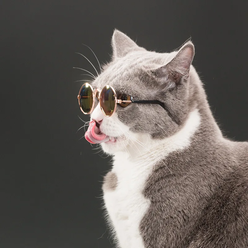 2 Pcs Fashion Style Cat Sunglasses Summer Dogs Cats Glasses Cat Grooming Eye-Wear Protection Puppy Cats Glasses Pet Accessories 2 Pcs Fashion Style Cat Sunglasses Summer Dogs Cats Glasses Cat Grooming Eye-Wear Protection Puppy Cats Glasses Pet Accessories