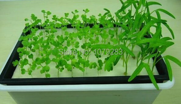 Foam cubes and tray set for starting seeds for hydroponics system