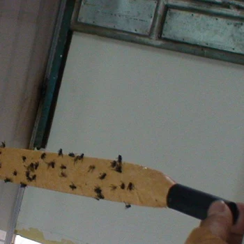 

Effective Flies Trap Catcher Fly Sticker Hanging Bag Eliminate Flying Insect Mosquito Bug Killer Home Garden Pest Control