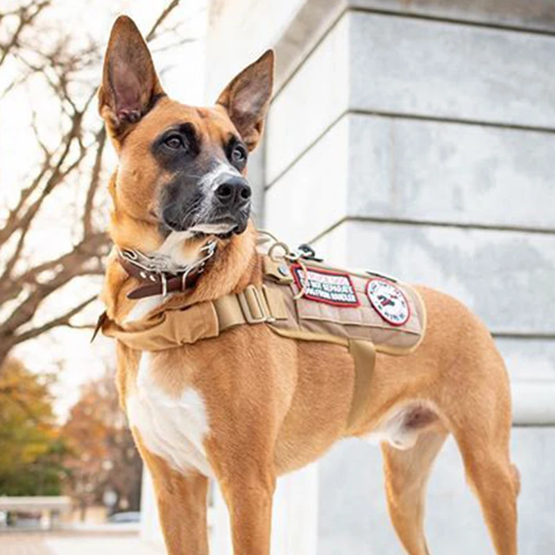  OneTigris Service Dog Assistance Harness Compatible Vest Tactical Military MOLLE Training Harness f