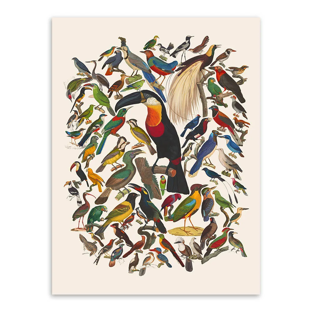 Modern Vintage Retro Cat Air Burung  Kanvas A4 Art Print 