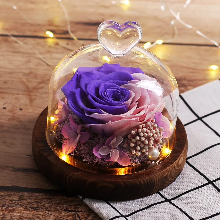 

Mixed Color Eternal Beauty And The Beast Rose Rose Led Rose In Glass Dome Mother Day Present Birthday Giftpurple Pink Rose