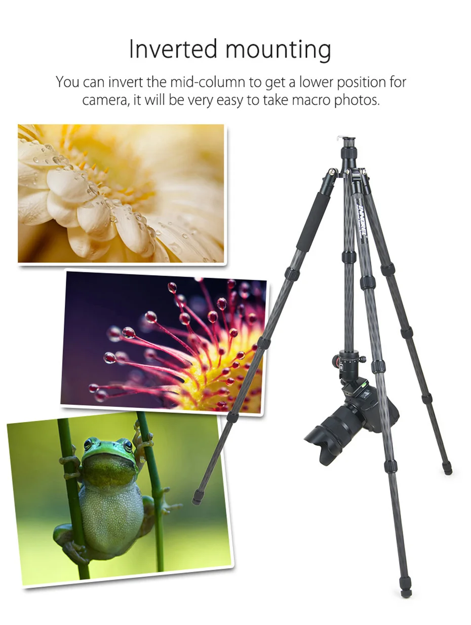 Профессиональный штатив INNOREL RT55C из углеродного волокна для ...