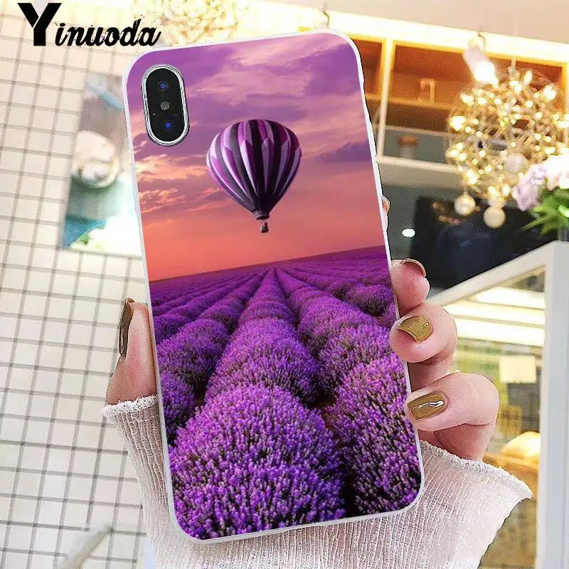 Simple lavender Purple flowers Ice cream