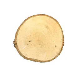 30 шт. 6 см круглые деревянные диски Берчвуд круги для живописи или украшения