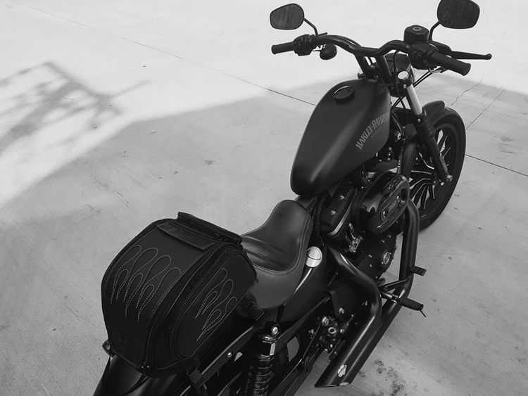 Harley & Cruiser   flame  tail Bag 2