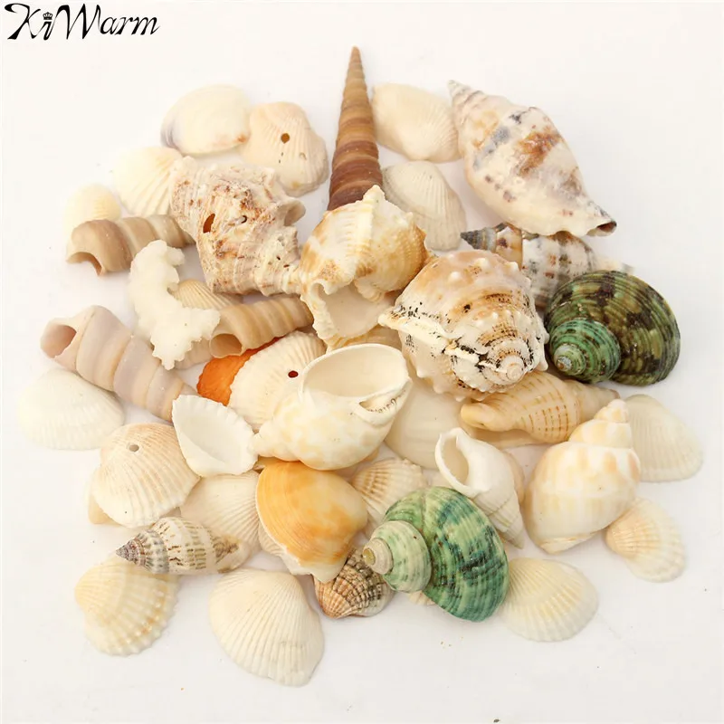 

KiWarm Cute Mediterranean Style Beach Mixed SeaShells Mix Sea Natural Shells Shell DIY Crafts Aquarium Landscape Home Decor Gift