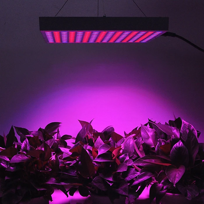 

LED Plant Growing Downlights Light 14W Red + Blue LED Plant Grow Light for Indoor Gardens Greenhouses Horticulture Plants