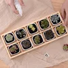 Juego de macetas suculentas de cerámica cuadrada blanca geométrica moderna, macetas de flor de escritorio con bandeja para decoración del hogar (10 macetas + 1 bandeja) ► Foto 3/6